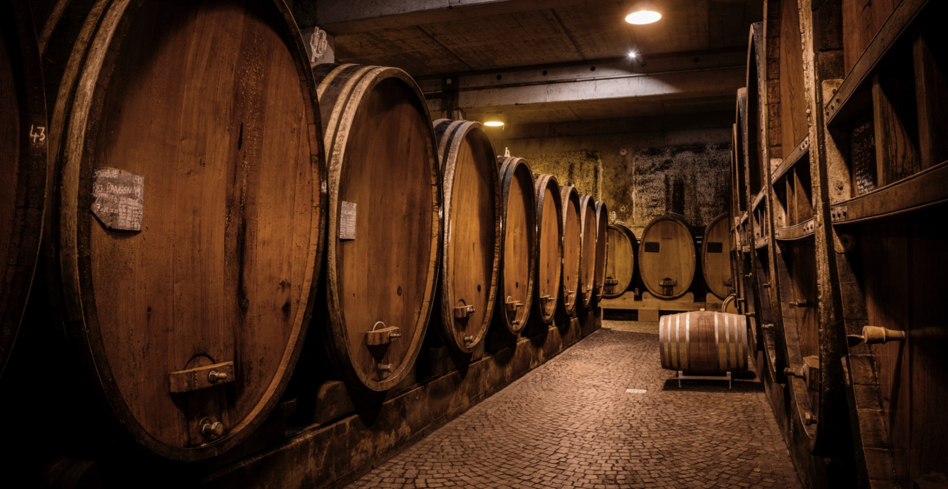 wine-cellar-domaine-zind-humbrecht-alsace