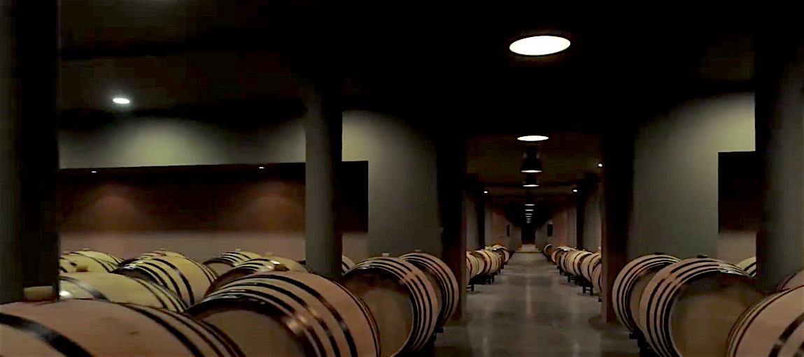 wine-cellar-chateau-de-fieuzal-pessac-leognan