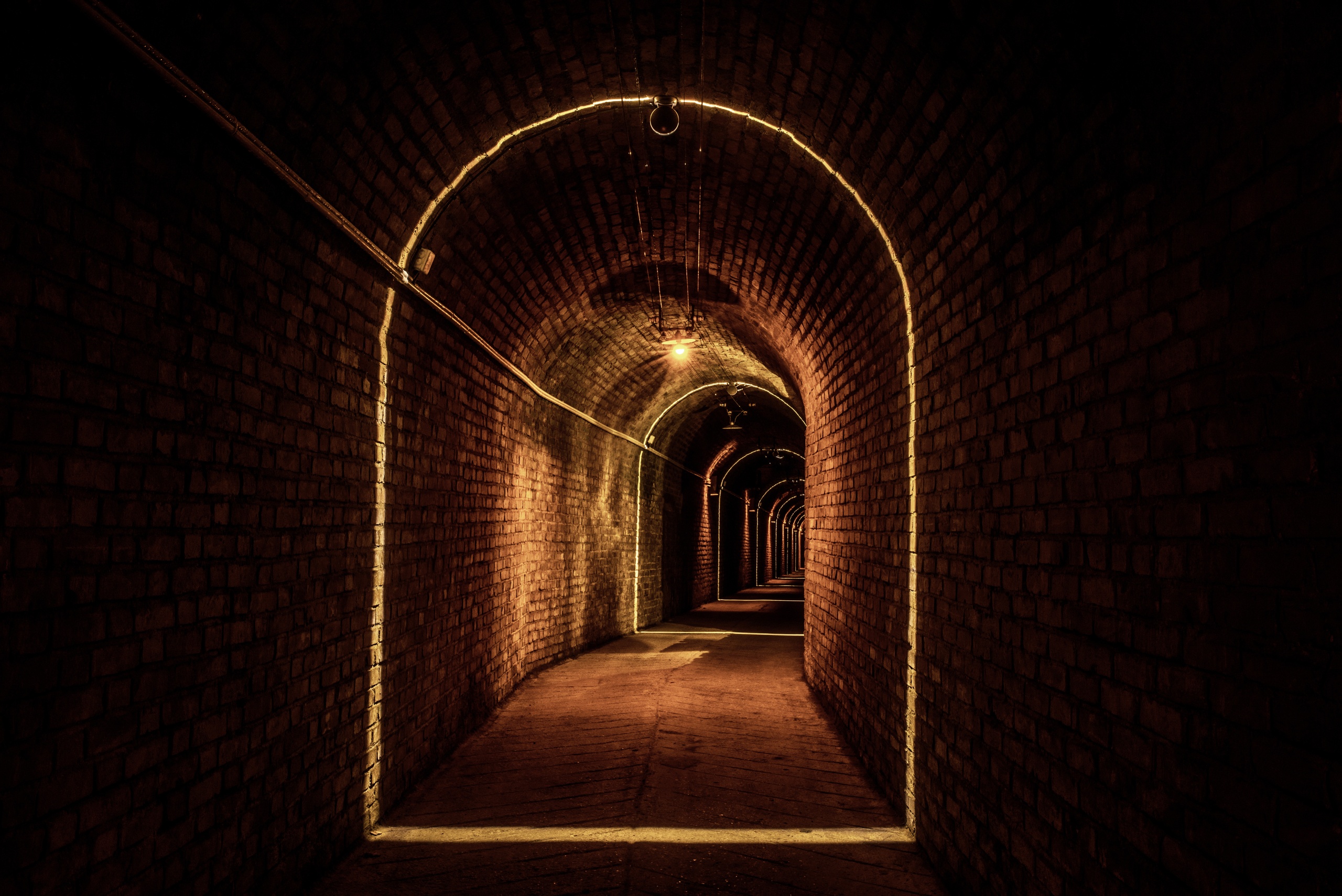 ayala-champagne-wine-cellar-bollinger