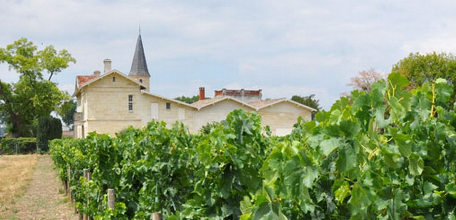 chateau-feytit-clinet-its-vineyard-pomerol