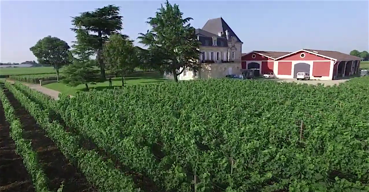 chateau-l-evangile-vineyard-great-wine-from-pomerol