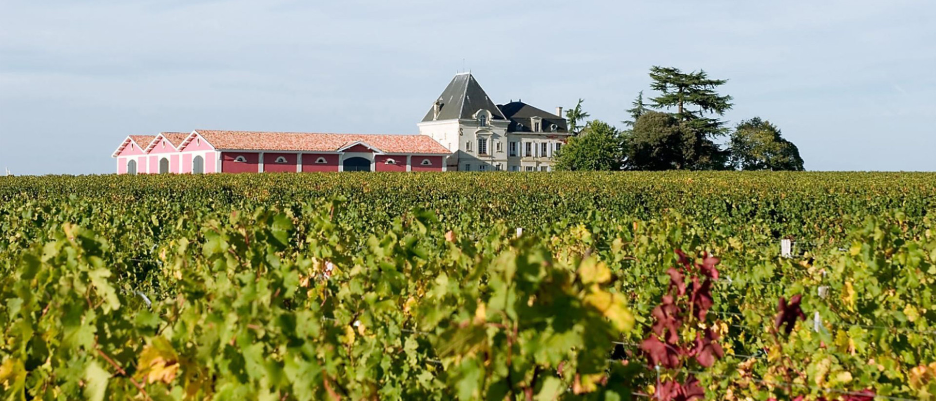 chateau-l-evangile-its-vineyard-from-pomerol