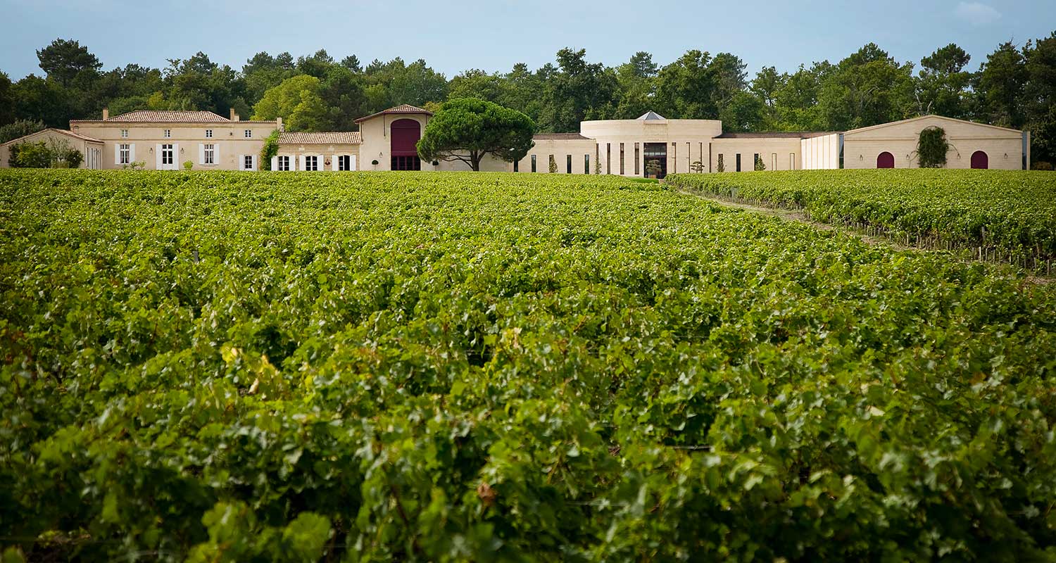 wine-estate-domaine-de-chevalier-and-its-vineyard-pessac-leognan