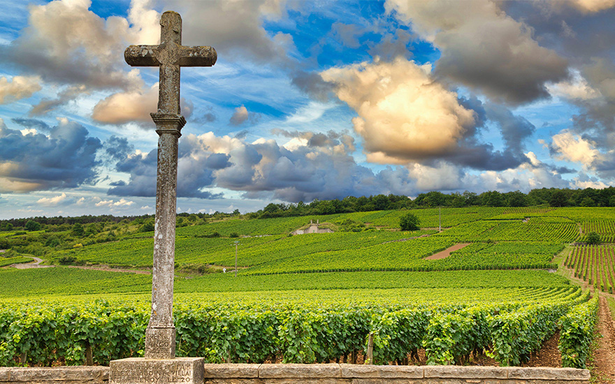 domaine-de-la-romanee-conti-its-historic-plot-vineyard-vosne-romanee