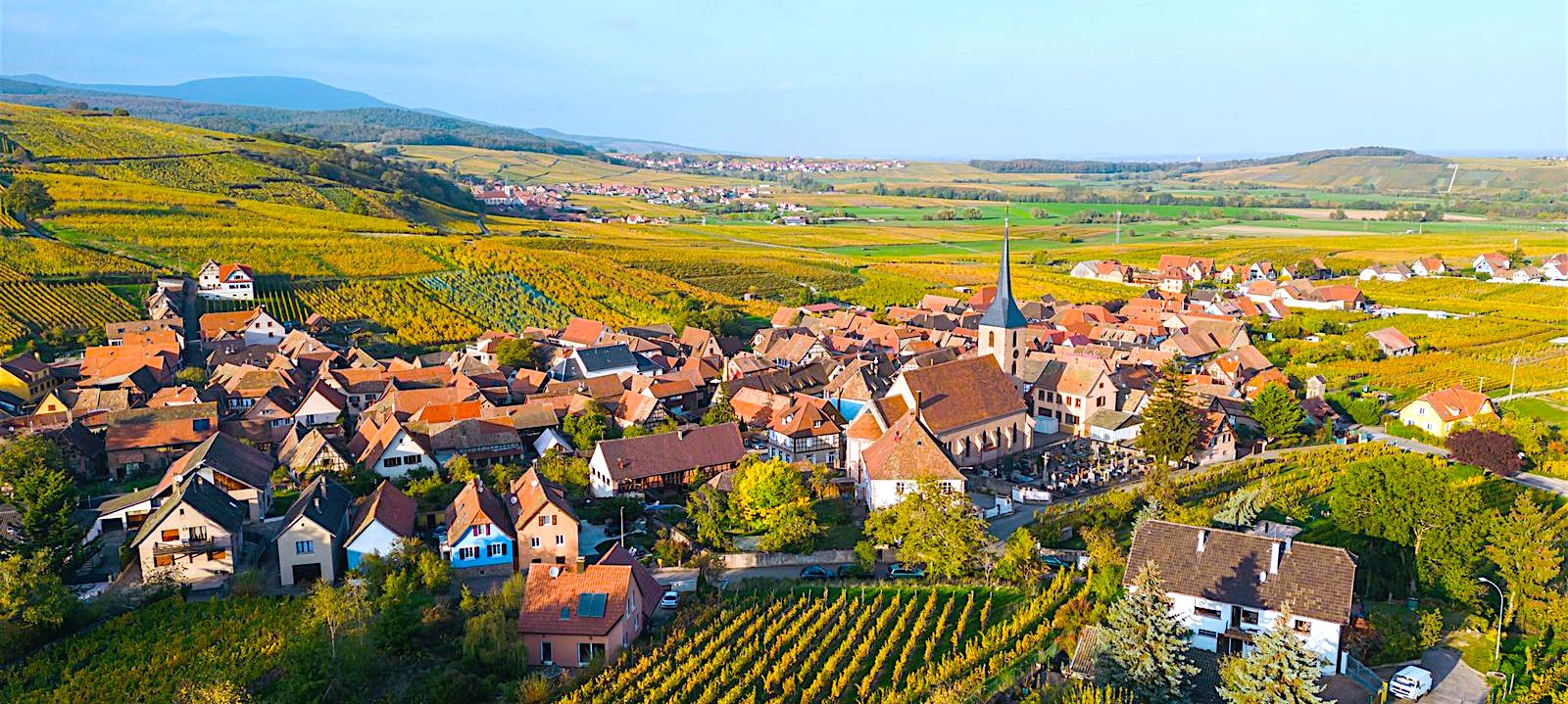 alsace-region-appellation-vineyard