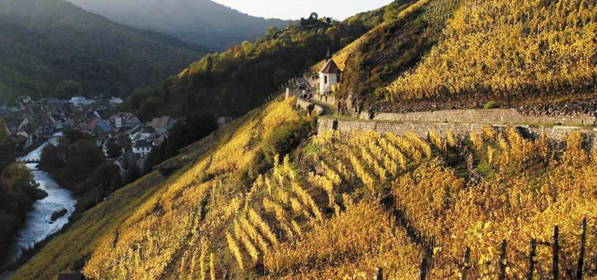 domaine-zind-humbrecht-vineyard-plots-great-wine-from-alsace