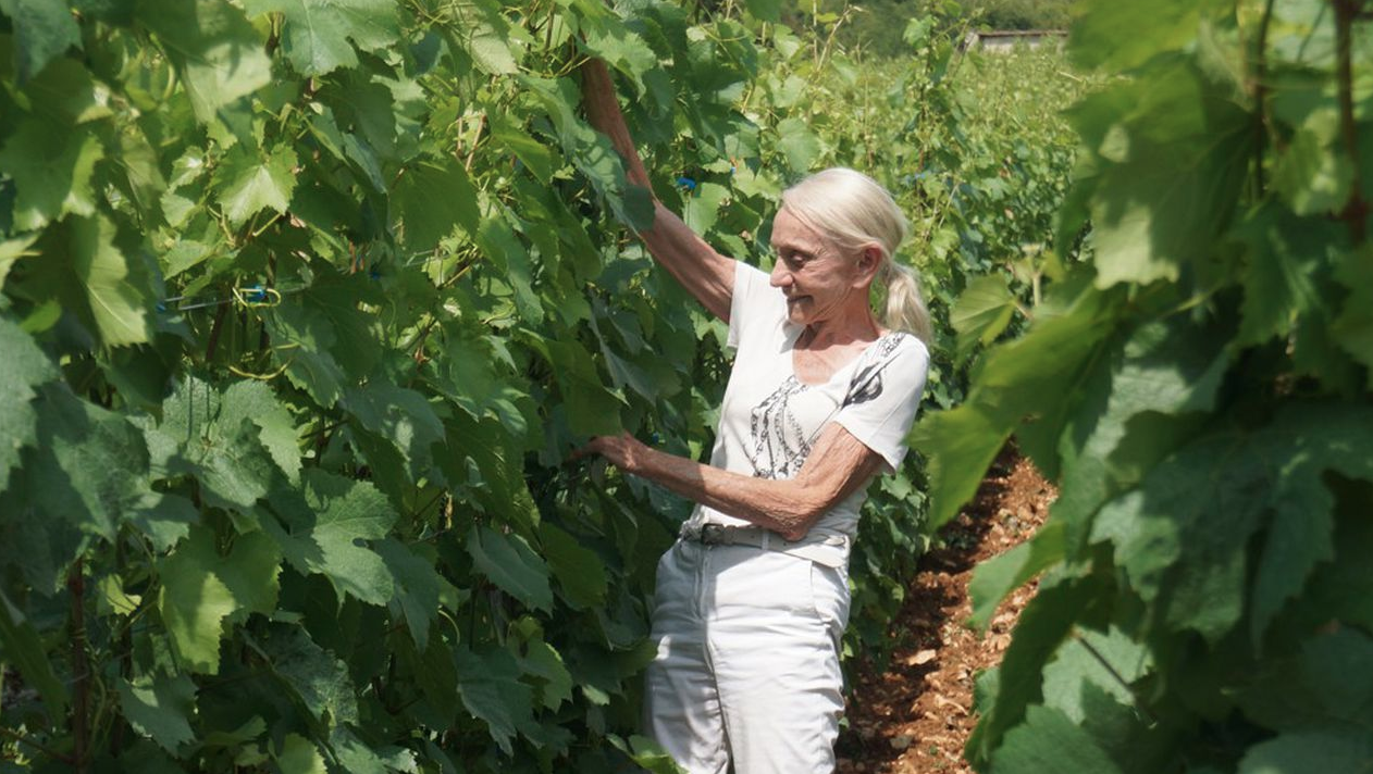 lalou-bize-leroy-domaine-leroy-its-vines-great-wine-from-burgundy