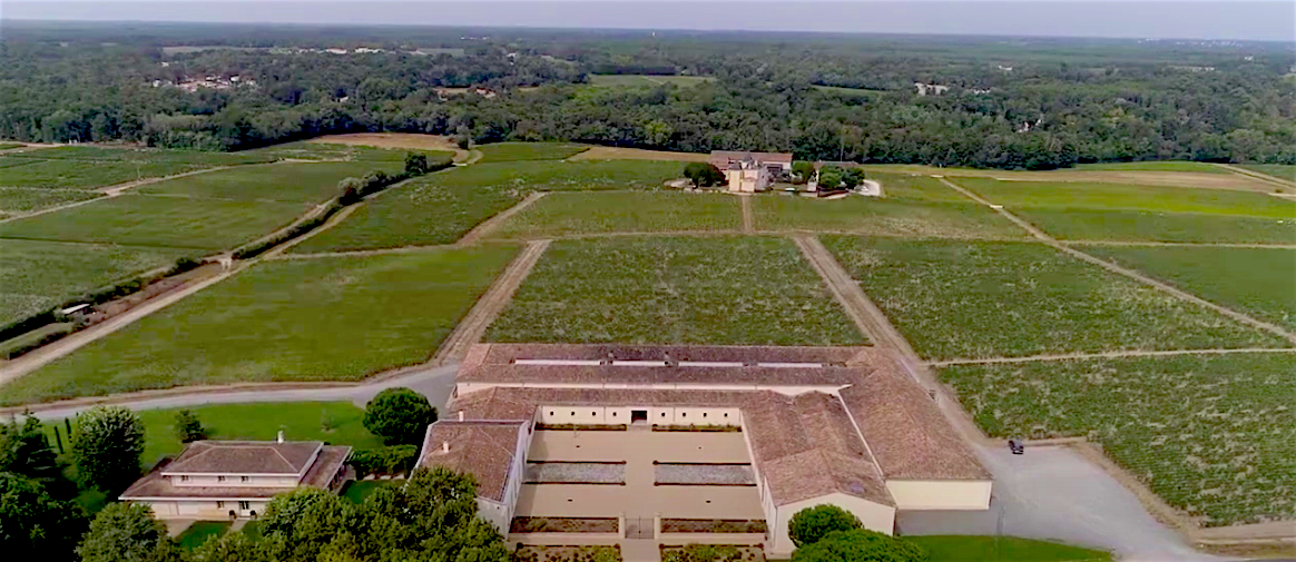 view-by-plane-chateau-de-fieuzal-and-its-vineyard-pessac-leognan