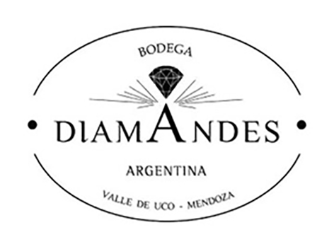 DiamAndes, Mendoza